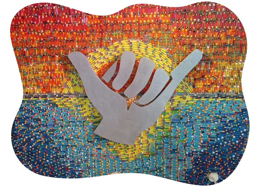 World Famous Collection Walls: Matchbox Cars, Pez Dispensers, Vintage Lunch Boxes, & Rubber Duckies